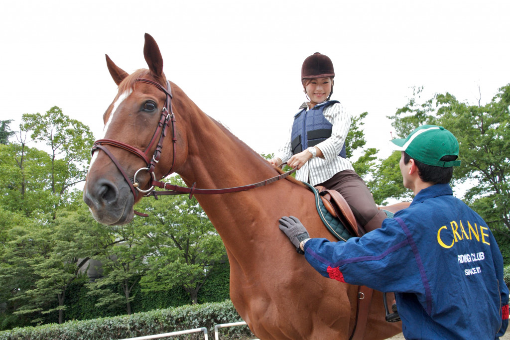 乗馬体験