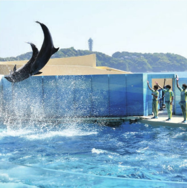 新江ノ島水族館